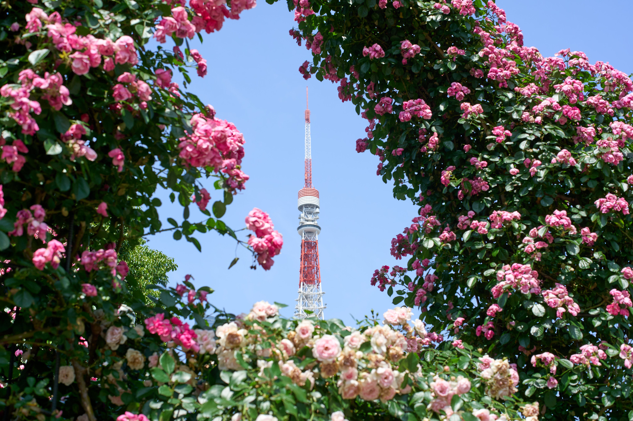 PID Train Controller Demo